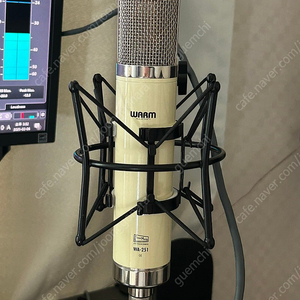 warm audio wa251 진공관 컨덴서 마이크 판매합니다.