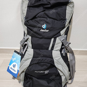 Deuter Futura Pro 34 배낭