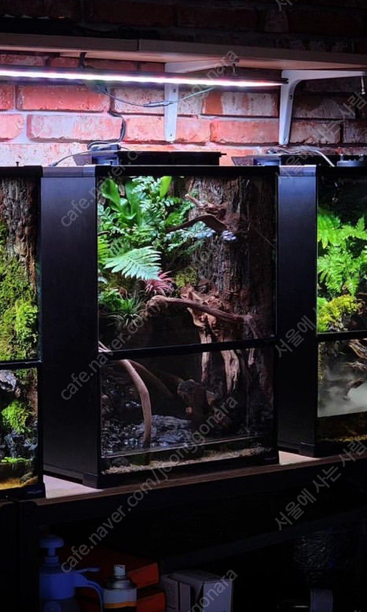 30 30 45 피치리움 팔루다리움 사육장 풀옵션 판매합니다--2