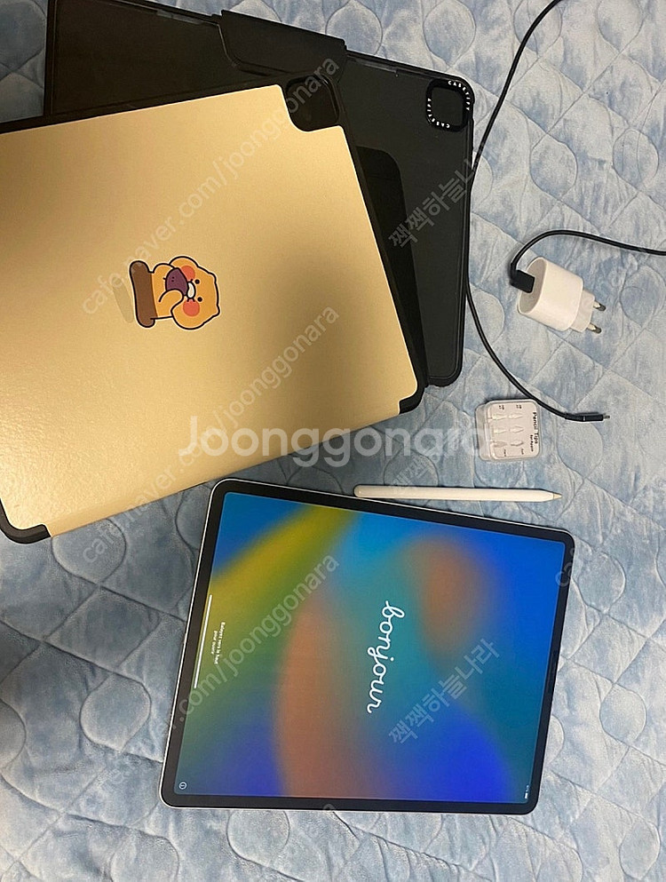 아이패드 프로 12.9 4세대 wifi 256GB--1