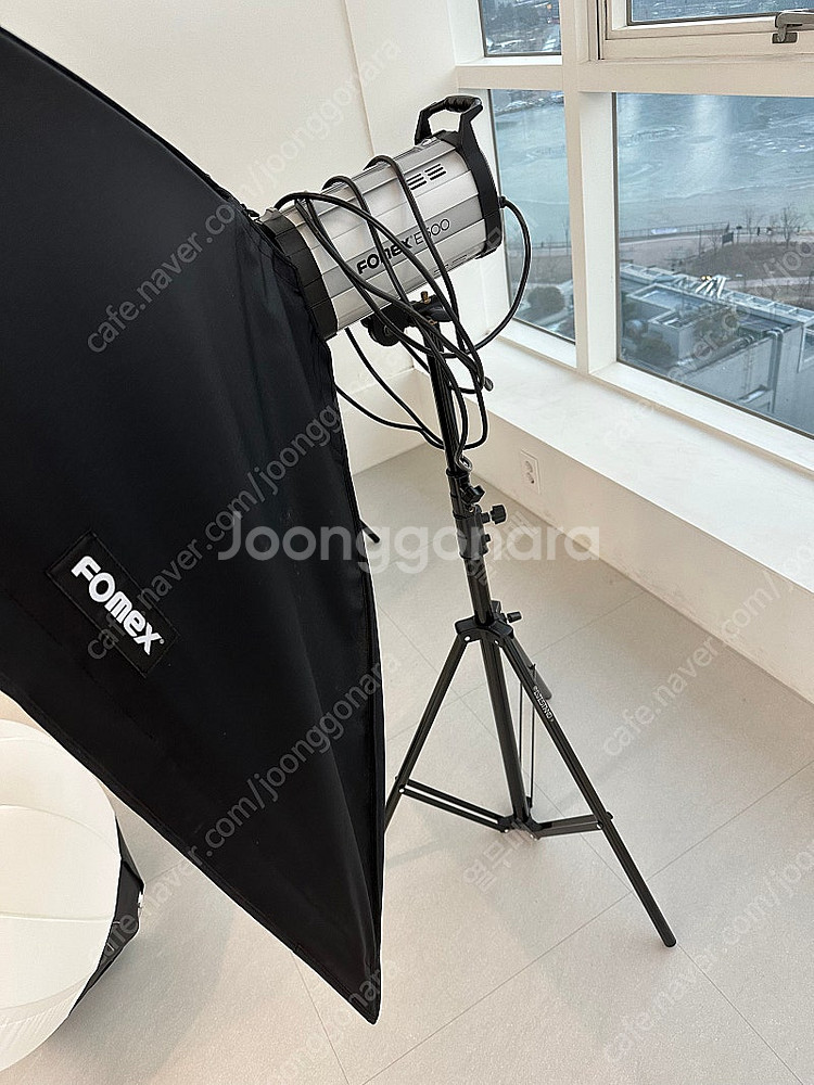 포멕스E600 촬영셋트 2개+소프트박스+동조기--3