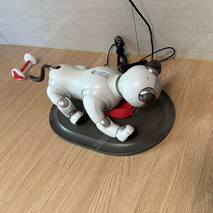 소니 아이보( AIBO ) 분양합니다.