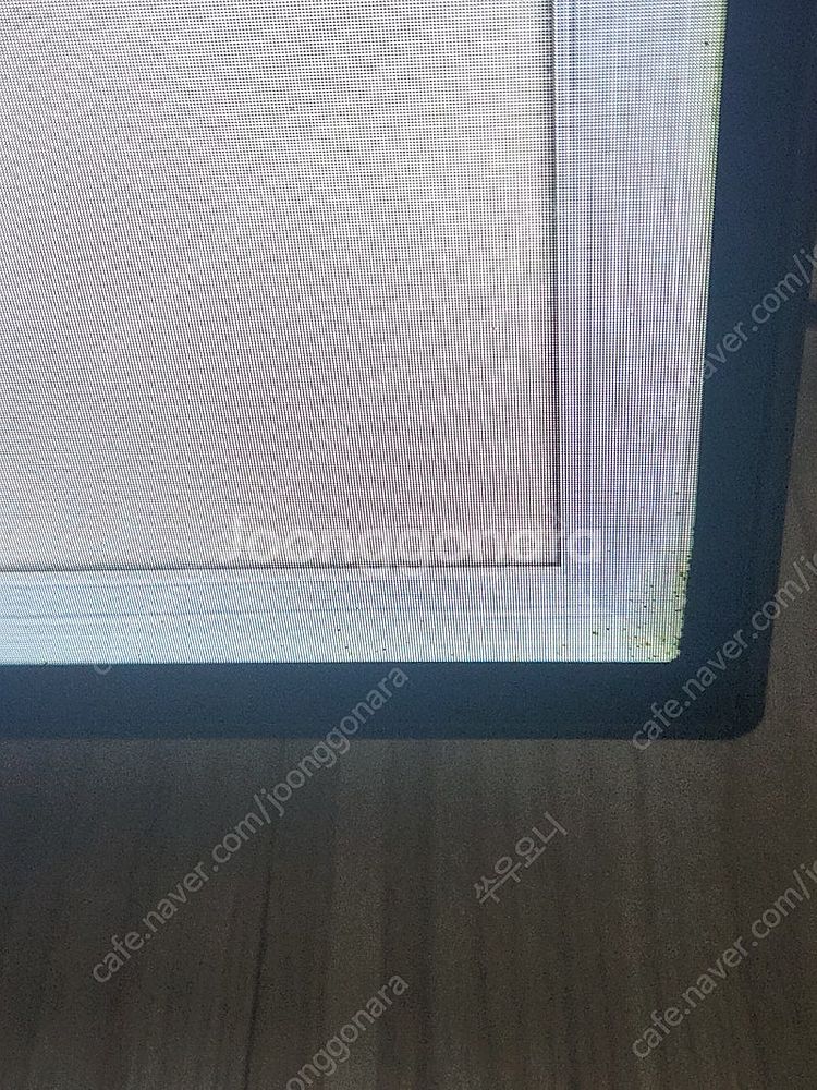 LG OLED 55인치 TV--1