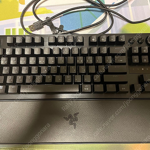 레이저 헌츠맨 V3 PRO TKL KR 판매합니다.