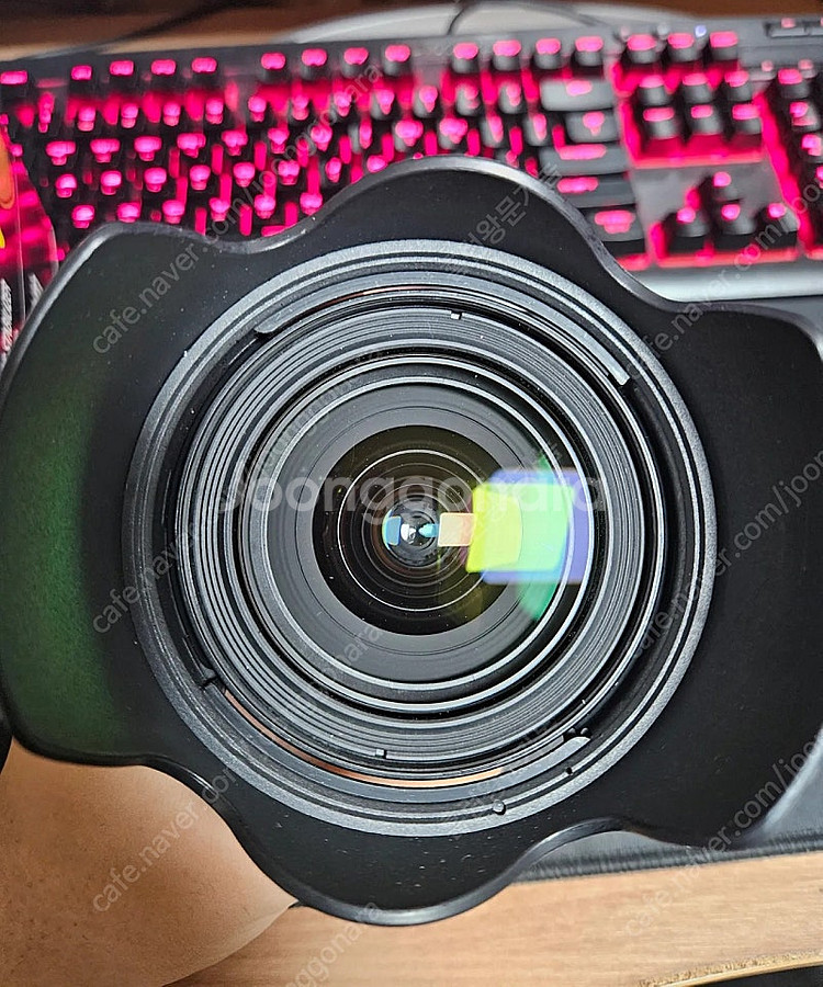 캐논 24-70 F4L IS USM 형아계륵--4