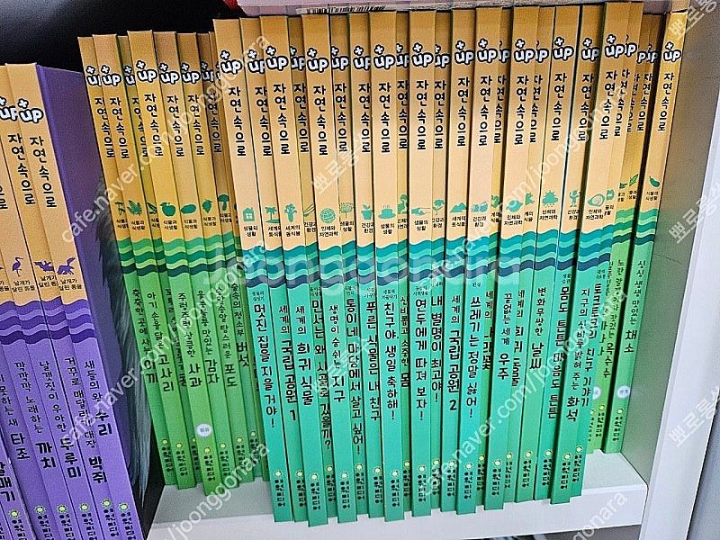 여원미디어 플러스업-자연관찰 상태최상 직거래(상계동)또...--0