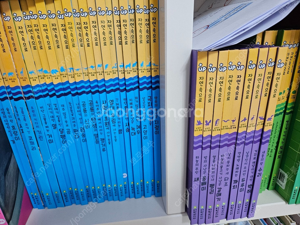 여원미디어 플러스업-자연관찰 상태최상 직거래(상계동)또...--1