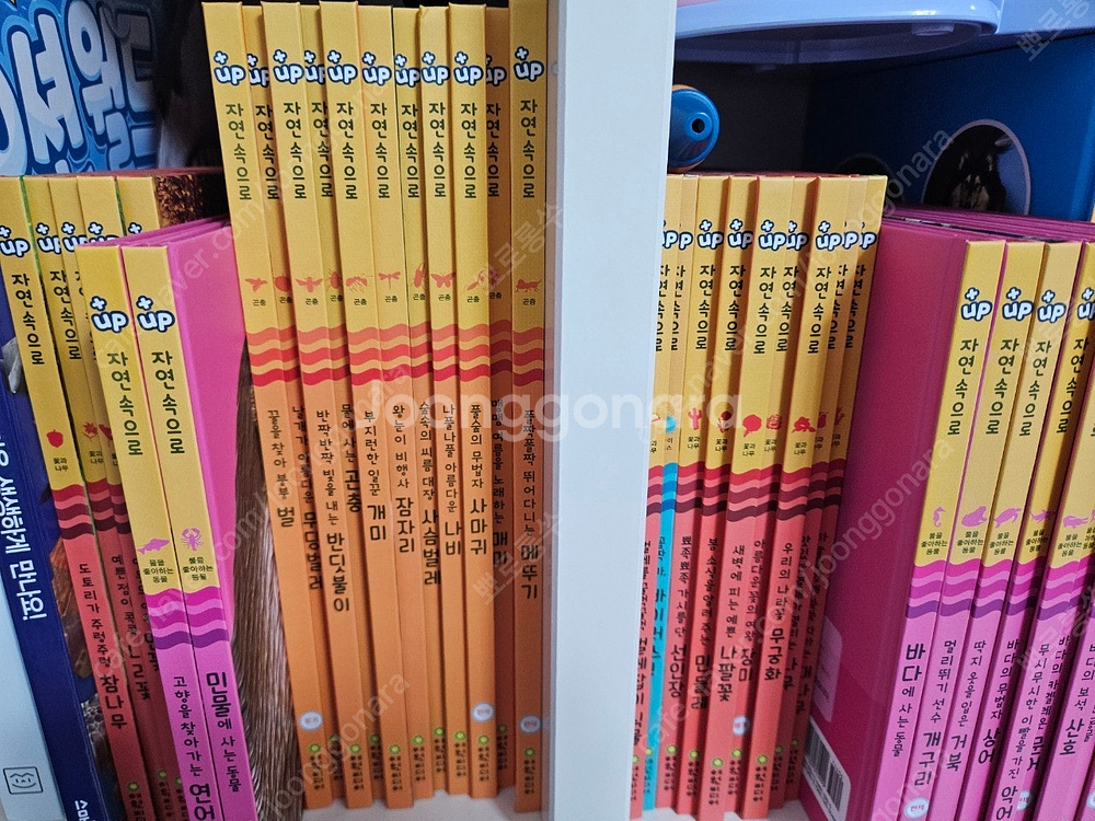 여원미디어 플러스업-자연관찰 상태최상 직거래(상계동)또...--2