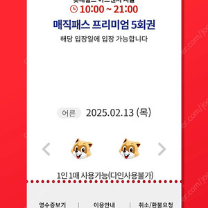 2/13(목) 롯데월드 매직패스 5회권 2매 즉시발송