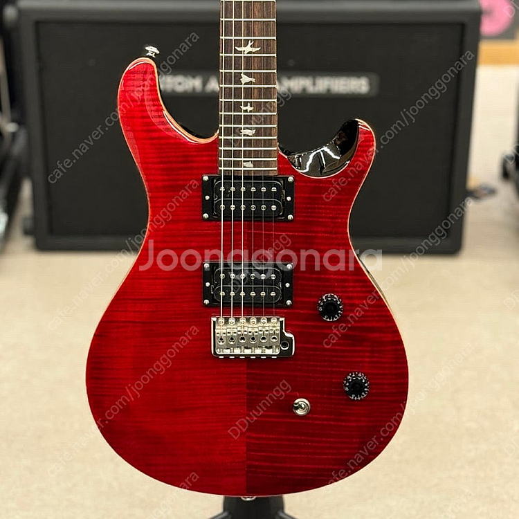 Prs se ce24 black cherry 삽니다--0