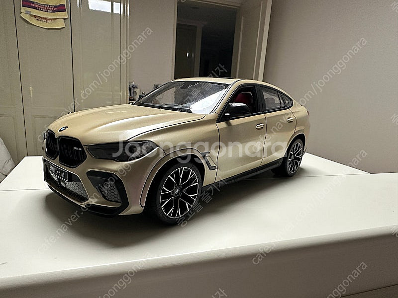 BMW X6 M 1:14 rc카 도색작--0