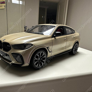 BMW X6 M 1:14 rc카 도색작