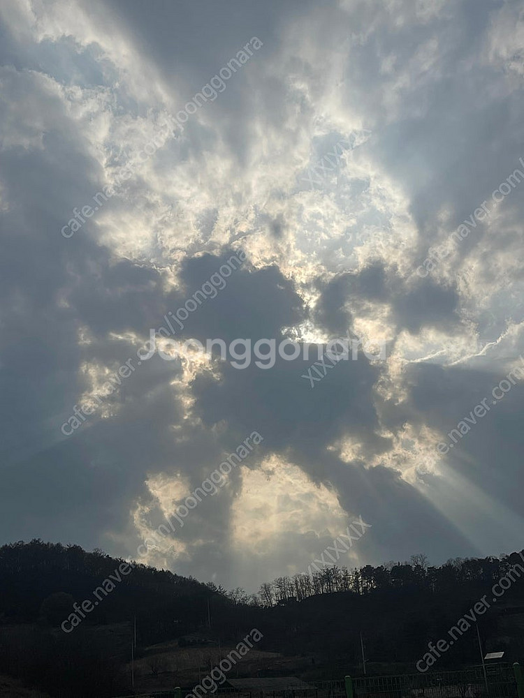 듀퐁라이터 랑데뷰 문 삽니다--0