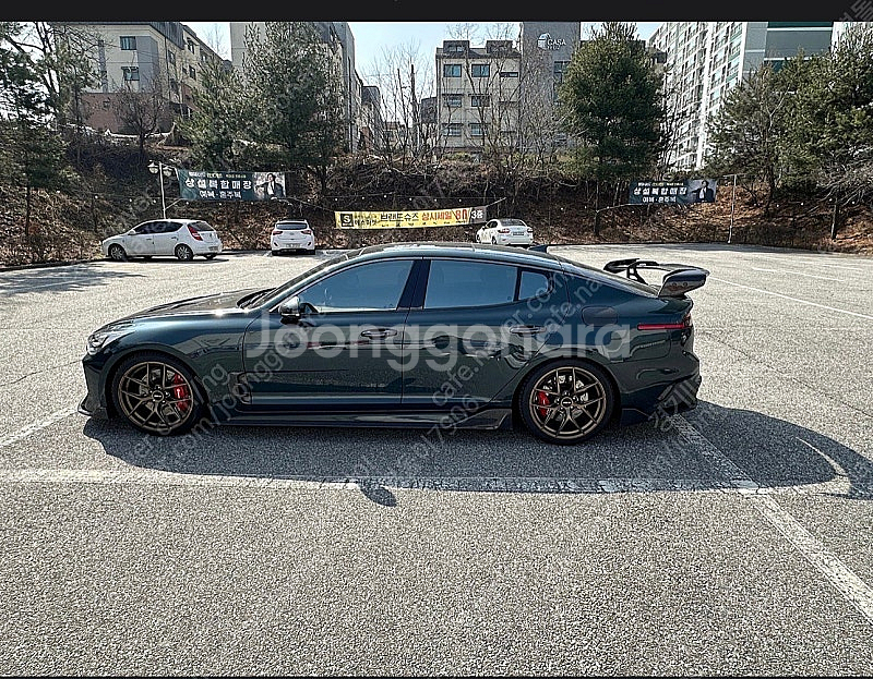 스팅어 에이드로 스완넥 판매--0