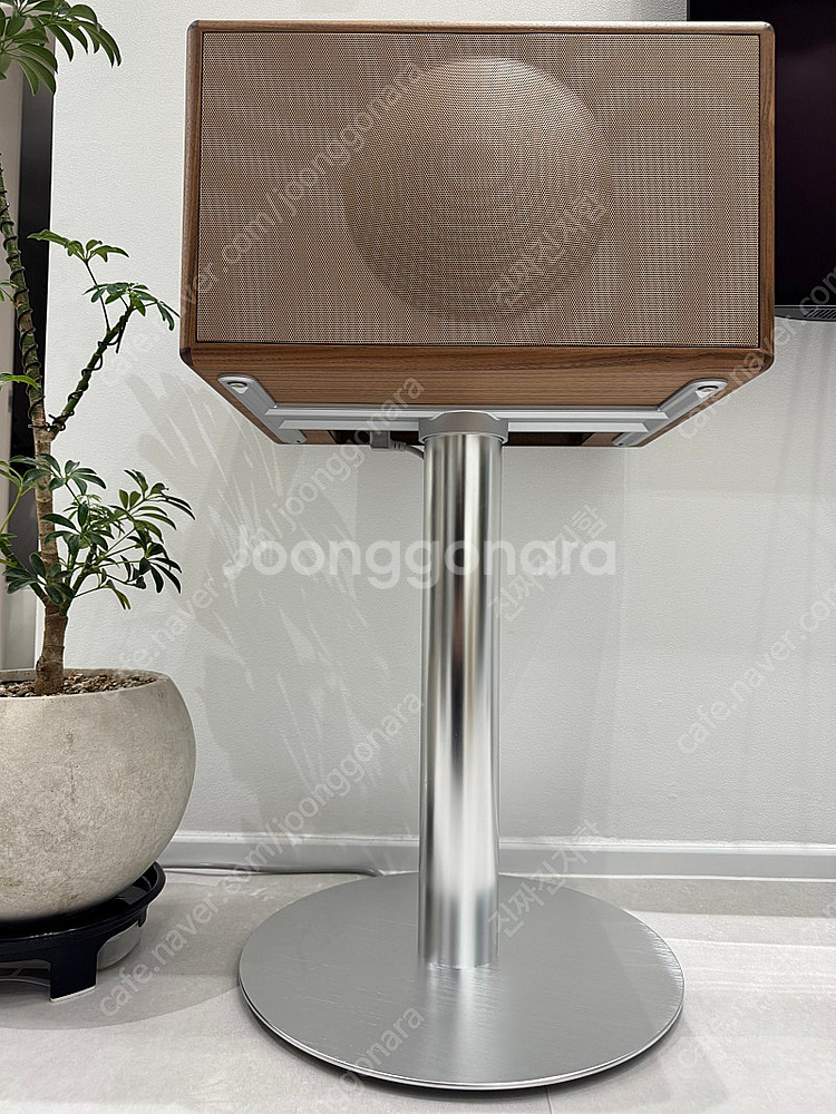 제네바 L 월넛(스탠드 포함)--1