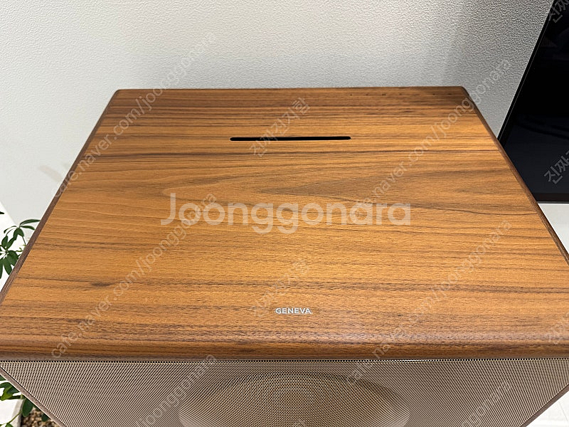 제네바 L 월넛(스탠드 포함)--4