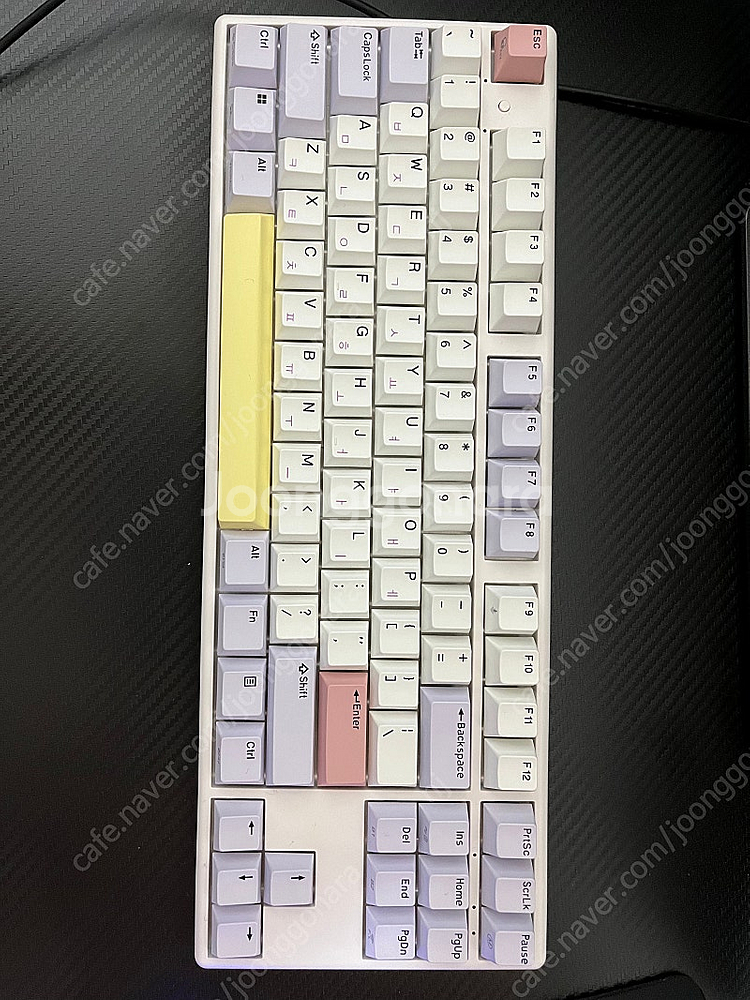 레이저 바라쿠다x 쿼츠, 한성 gk893b pro 퍼플...--3
