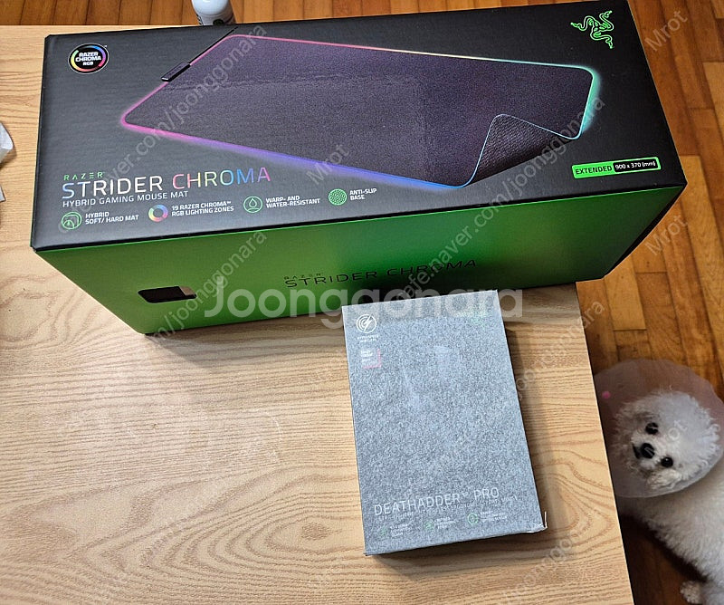 RAZER 데스에더 V3 PRO--0