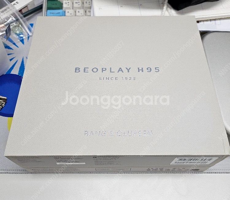 뱅앤올룹슨 h95헤드폰--7