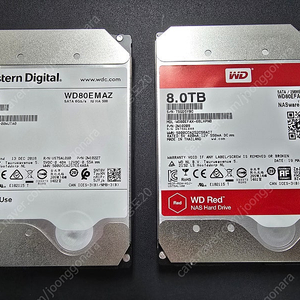 8T HDD 2개(Western Digital, WD Red)