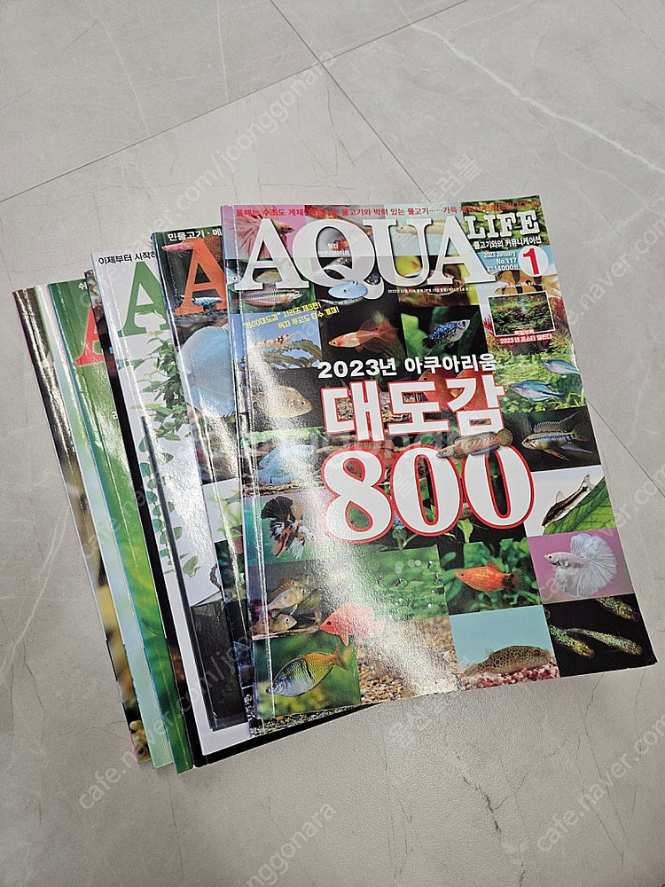 물생활책 잡지 아쿠아라이프 울산--0