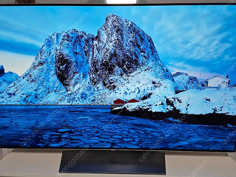 LG oled 올레드 tv 55인치 스탠드형--3