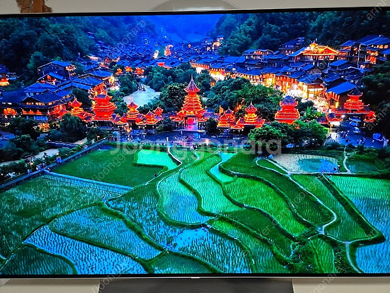 LG oled 올레드 tv 55인치 스탠드형--5