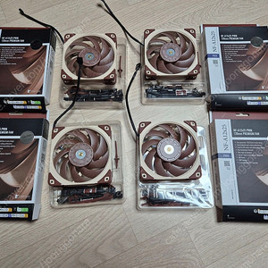 NOCTUA NF-A12x25 PWM 4개 (풀박스)