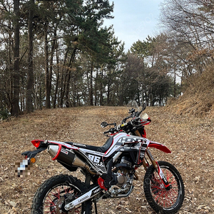 Crf300 Moto-X v4 카본 풀시스템 배기