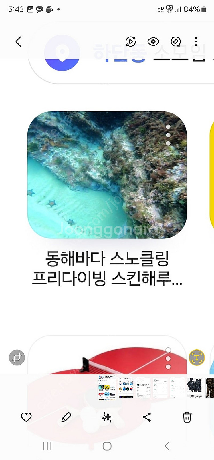 더블케이슈트 공동구매--6