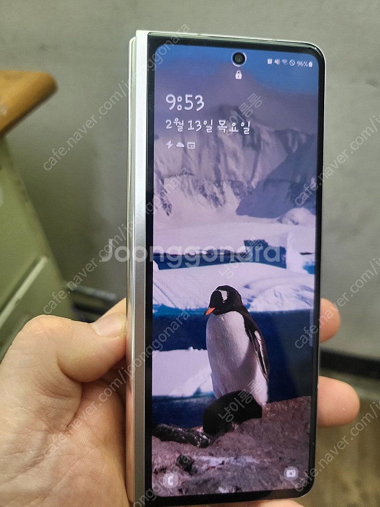 폴드3--0