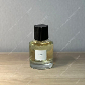 트루동 엘래 100ml