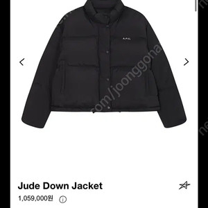 아페쎄 apc 패딩 jude down jacket