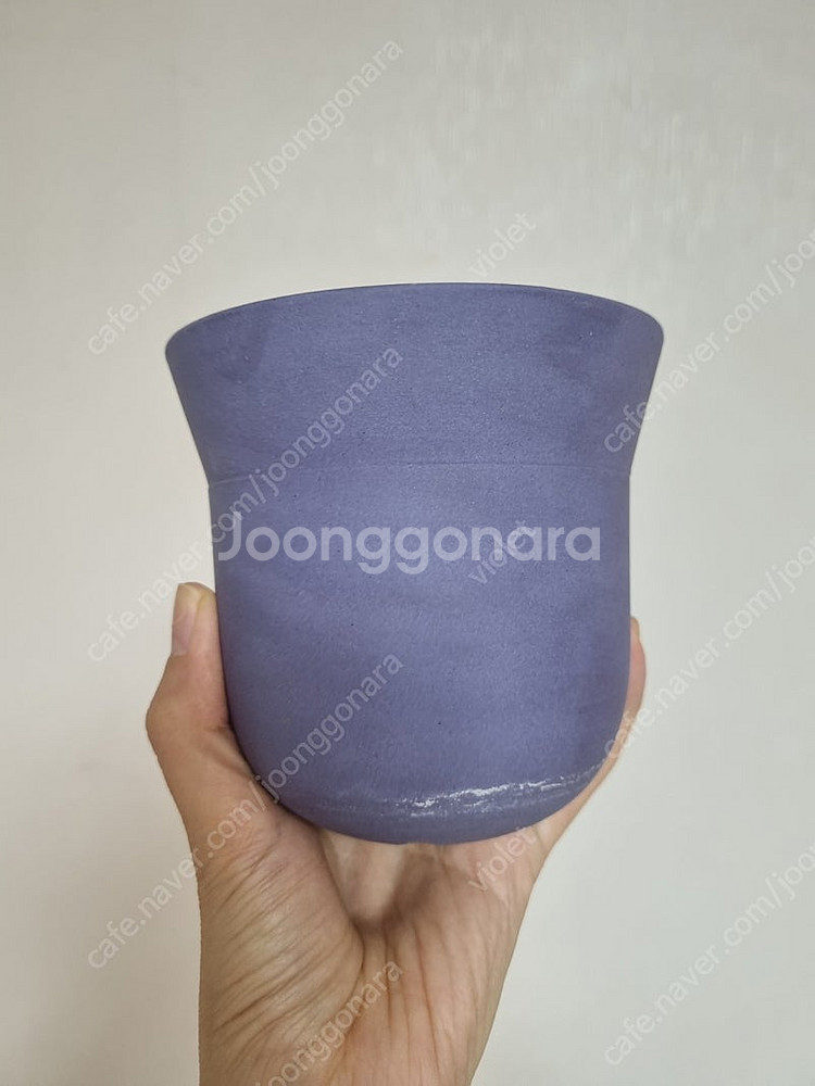 카네즈센 씨드팟--1