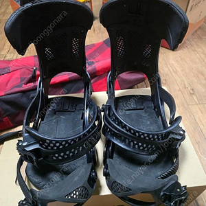 버튼 말라비타 윙 M사이즈 바인딩 팔아요