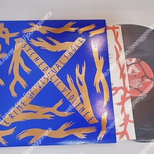 엑스재팬 LP 블루블러드 BLUE BLOOD / X JAPAN