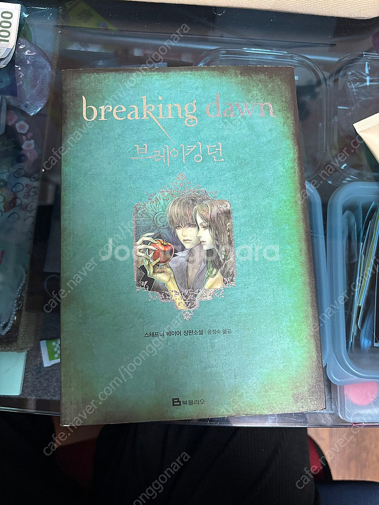 브레이킹던 책--0
