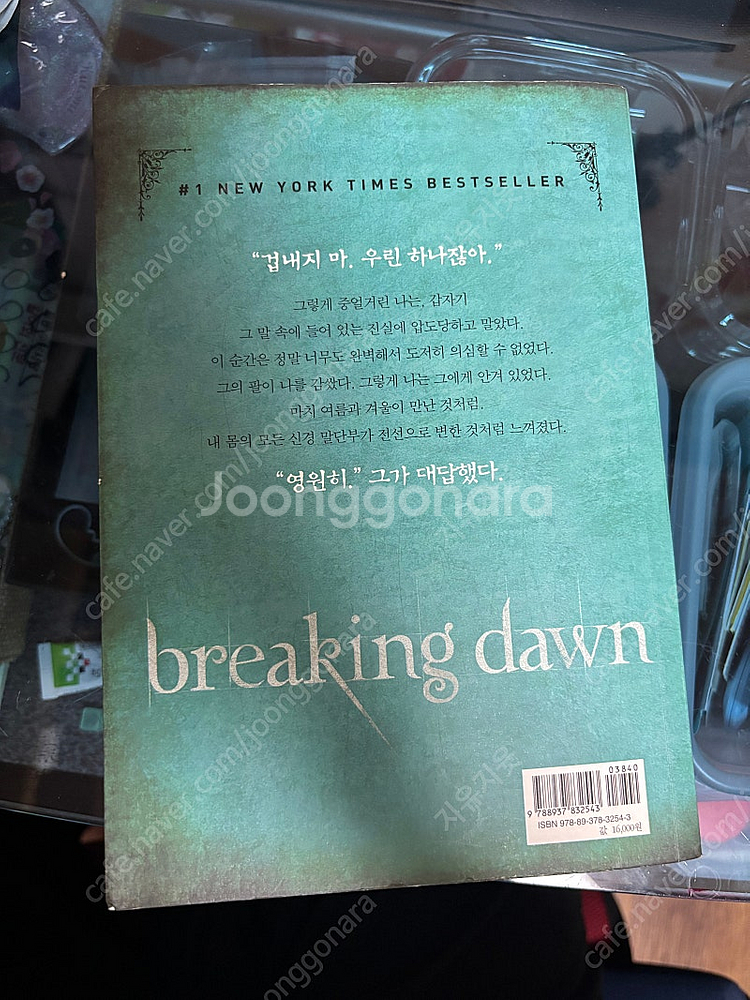 브레이킹던 책--1