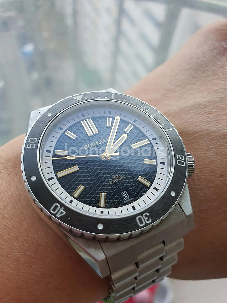 보레알리스 올리시포 (40mm 다이버시계)--0
