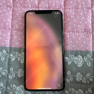 아이폰 xs max 256기가