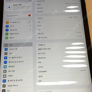 아이패드 프로 11인치 2세대 셀룰러 1테라 모델 판매합니다.