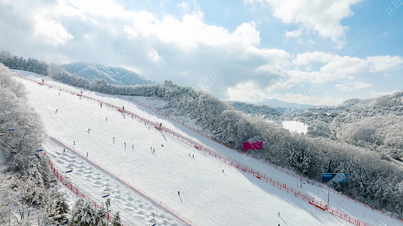 2월 15일/22일 비발디파크 가실분!!--0