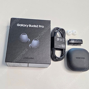 갤럭시 버즈 2 프로 / Galaxy Buds 2 Pro