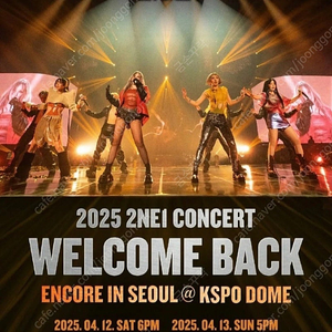 투애니원 2NE1 콘서트 4/13일 일요일 연석 양도합니다