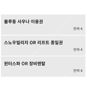 휘닉스파크 14일 스노우빌리지&리프트종일권