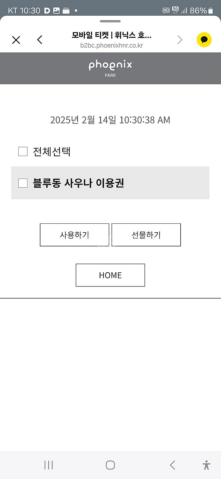 휘닉스파크 14일 사우나,장비렌탈권--0