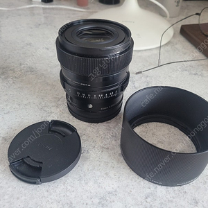 시그마 65mm f2 DG DN L마운트