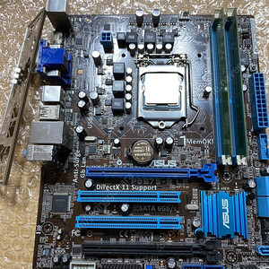 아이비브릿지 제온 1220v2 asus pb875-m-le ddr3 램16기가