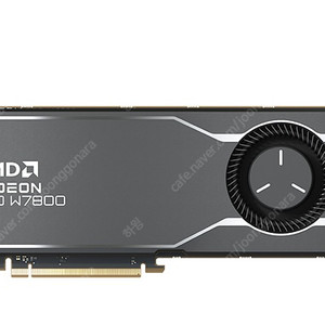 AMD Radeon PRO W7800 D6 32GB