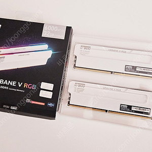 ESSENCORE KLEVV DDR5-6000 CL30 URBANE V RGB 32GB(16Gx2))